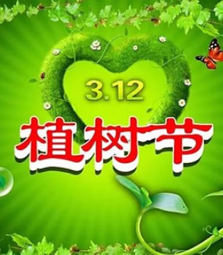 叮当猫,植树节,童装