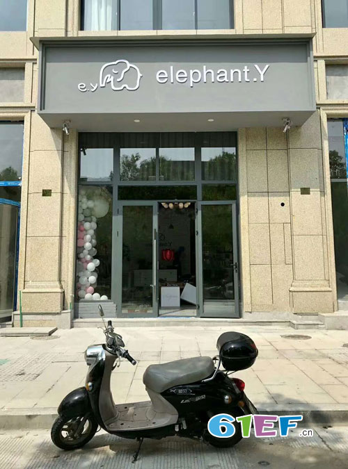 热烈祝贺elephant.Y品牌童装全国第397家加盟店开业成功!!!