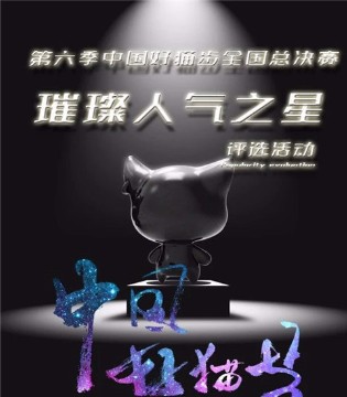 中国好猫步,总决赛,评选活动