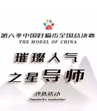 中国好猫步,总决赛,人气之星,评选活动