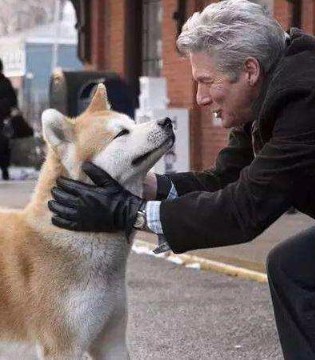 忠犬八公的故事,八公,爱的故事
