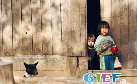 别轻易被生活打败失去斗志 生活不只是苟且!