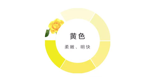 佐米熊,ZuoMiBear,佐米熊品牌招商加盟