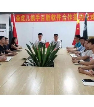 强强,联手,  森虎儿,百胜软件,启动