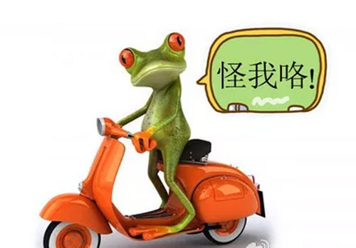 BXZF,小资范,童装,高考,事