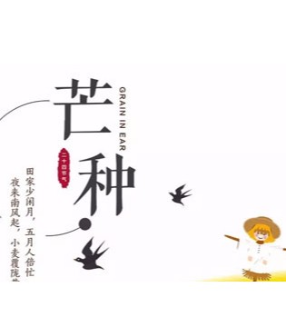 哈里瑞拉,仲夏,来临, 邂逅,你