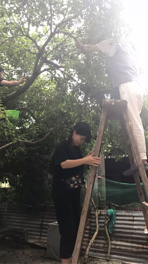 DHAiii又到杨梅鲜红时 浙江孖持服饰户外采摘行