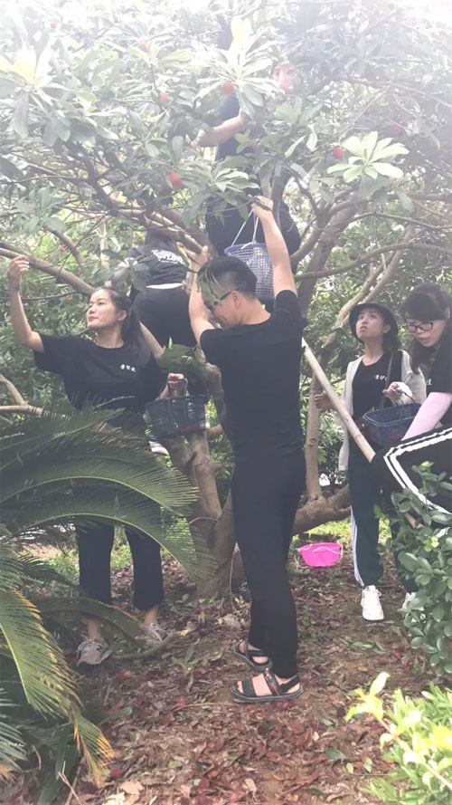 DHAiii又到杨梅鲜红时 浙江孖持服饰户外采摘行