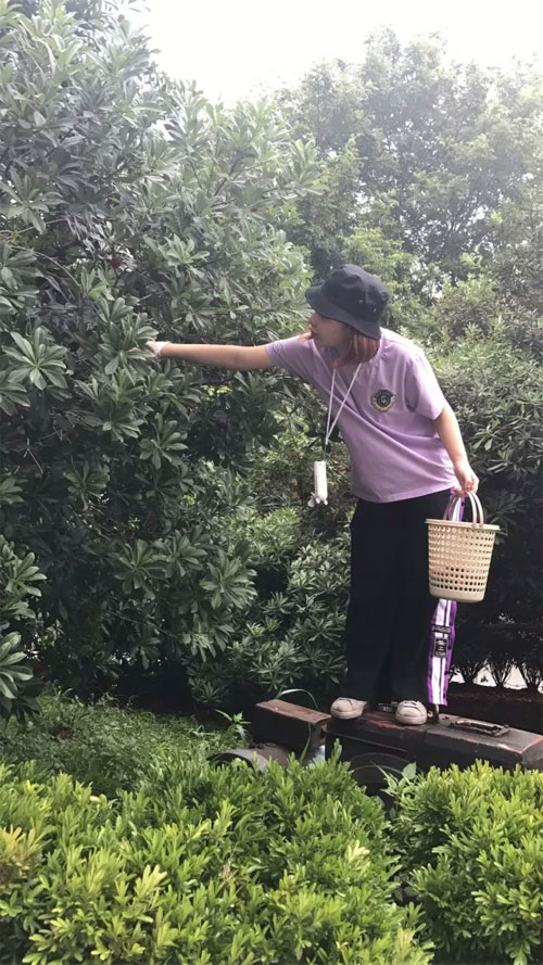 DHAiii又到杨梅鲜红时 浙江孖持服饰户外采摘行