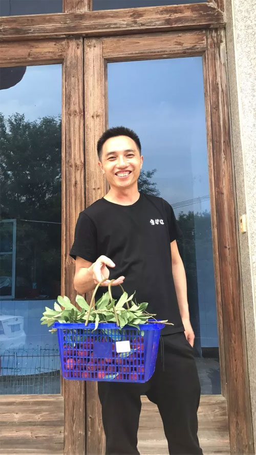DHAiii又到杨梅鲜红时 浙江孖持服饰户外采摘行