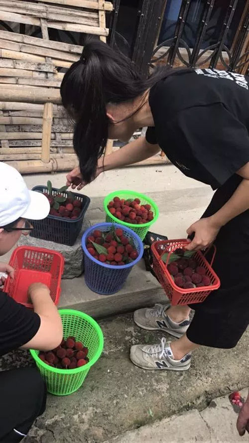 DHAiii又到杨梅鲜红时 浙江孖持服饰户外采摘行