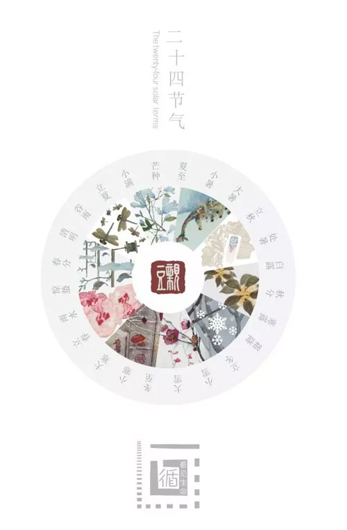 babybean,親豆 ,夏至