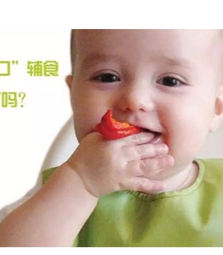 爱能特,宝宝,辅食 ,讲究