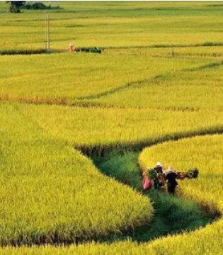 babybean,親豆 ,