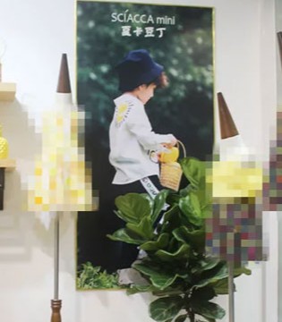 夏卡豆丁,2019春夏,发布会