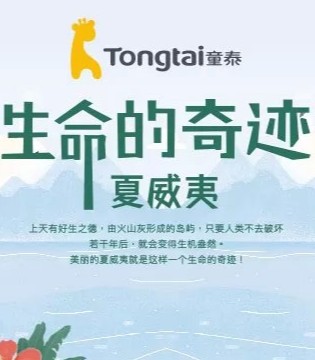 童泰童装,童泰品牌童装,童泰童装加盟