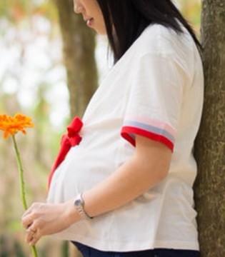 孕产手册,准妈妈,分娩 ,胎动
