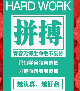淘气贝贝,业绩爆表,秘诀