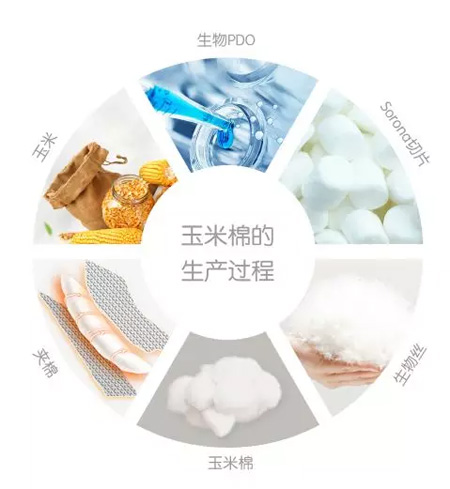 玉米驾到 用玉米做的衣服你穿过吗?