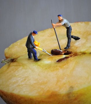 儿童喂养知识,儿童保健知识,儿童饮食安全