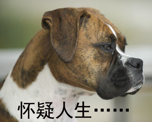 钻石恒久远 一颗就破产!!!!!