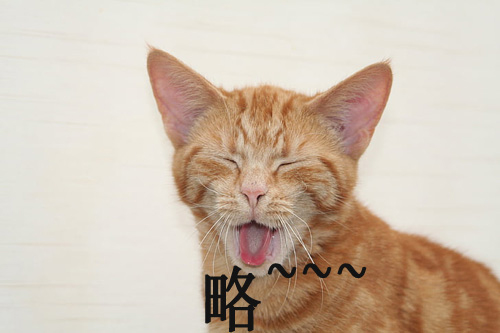 钻石恒久远 一颗就破产!!!!!