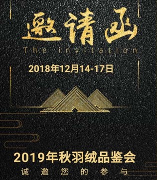 淘气贝贝,童装,品牌