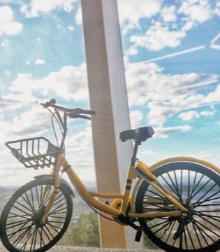 Ofo,顺丰,冻结