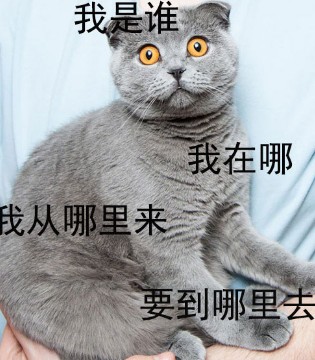 月光族,月欠族,网贷,加菲A梦,品牌童装,童装品牌,童装,品牌