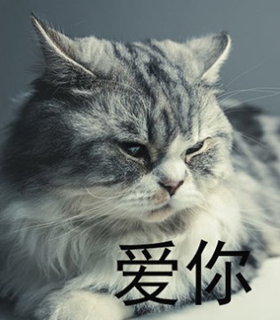 招聘,婚育,平等就业,Milk Family,母婴,品牌