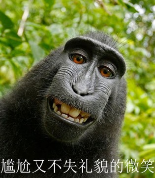 严重偏科,杰米熊,JMBEAR,童装,品牌