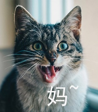 北方澡堂,搓澡,ZIYA HOME,籽芽之家,品牌,童装,品牌童装