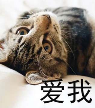 疼爱,爸爸疼爱女儿,维尼叮当,vinnytido,品牌,童装,童装品牌