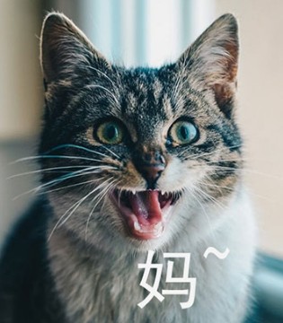 10后的孩子遇上90父母,maya’s,品牌,童装