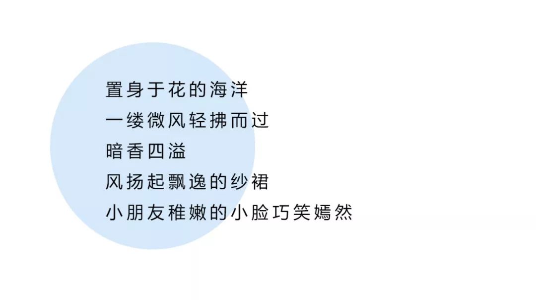 铅笔俱乐部 夏意景色如诗 人美如画
