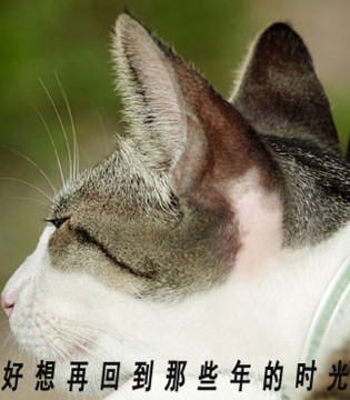 童品壹仓,加盟,童装