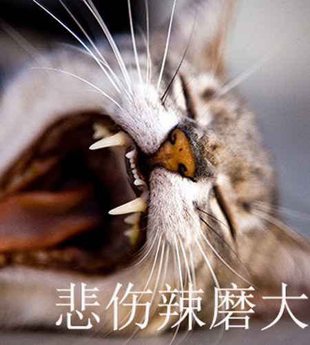 养老金2035年被耗尽:经历了计划生育,还要经历什么