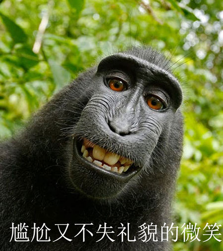 应聘时被要求和面试官打麻将 你敢胡吗?!