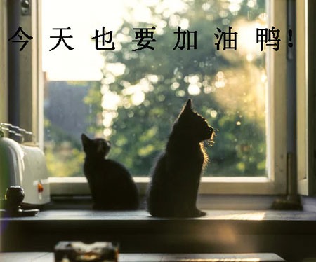 工作的意义是什么 究竟该不该把兴趣当事业?!