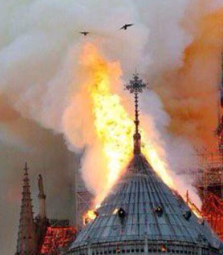 亚马逊宁波跨境电商园今日正式投入使用