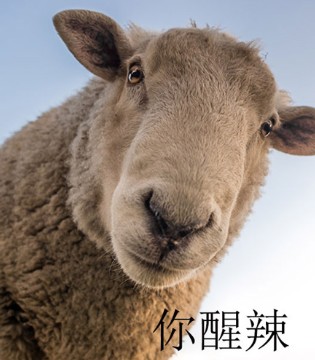 童品壹仓,童装,加盟