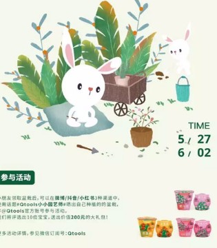Qtools,婴童用品,六一