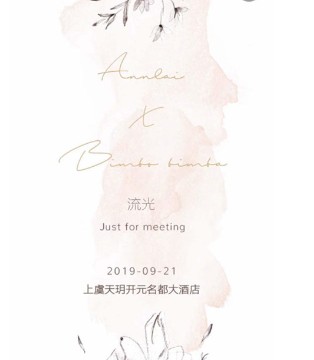 安黎小镇,2020新品,发布会
