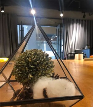 纺织园,感恩,品牌