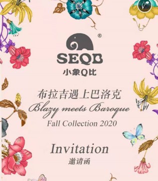 小象Q比,订货会,发布会