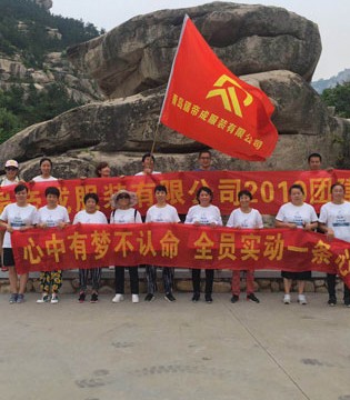 瑞帝成,服装企业,新春祝福,2020