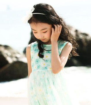班吉鹿,夏季,连衣裙