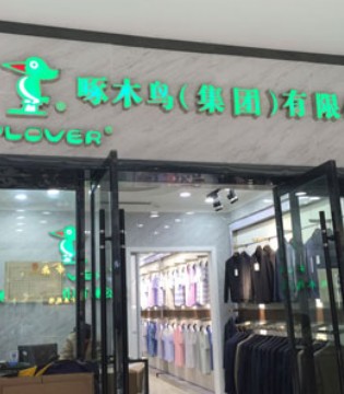 啄木鸟,PLOVER,投资,童装市场