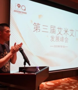 艾米艾门,发展峰会,泛美