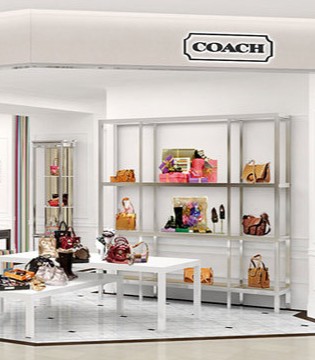 Tapestry,Coach,奢侈品